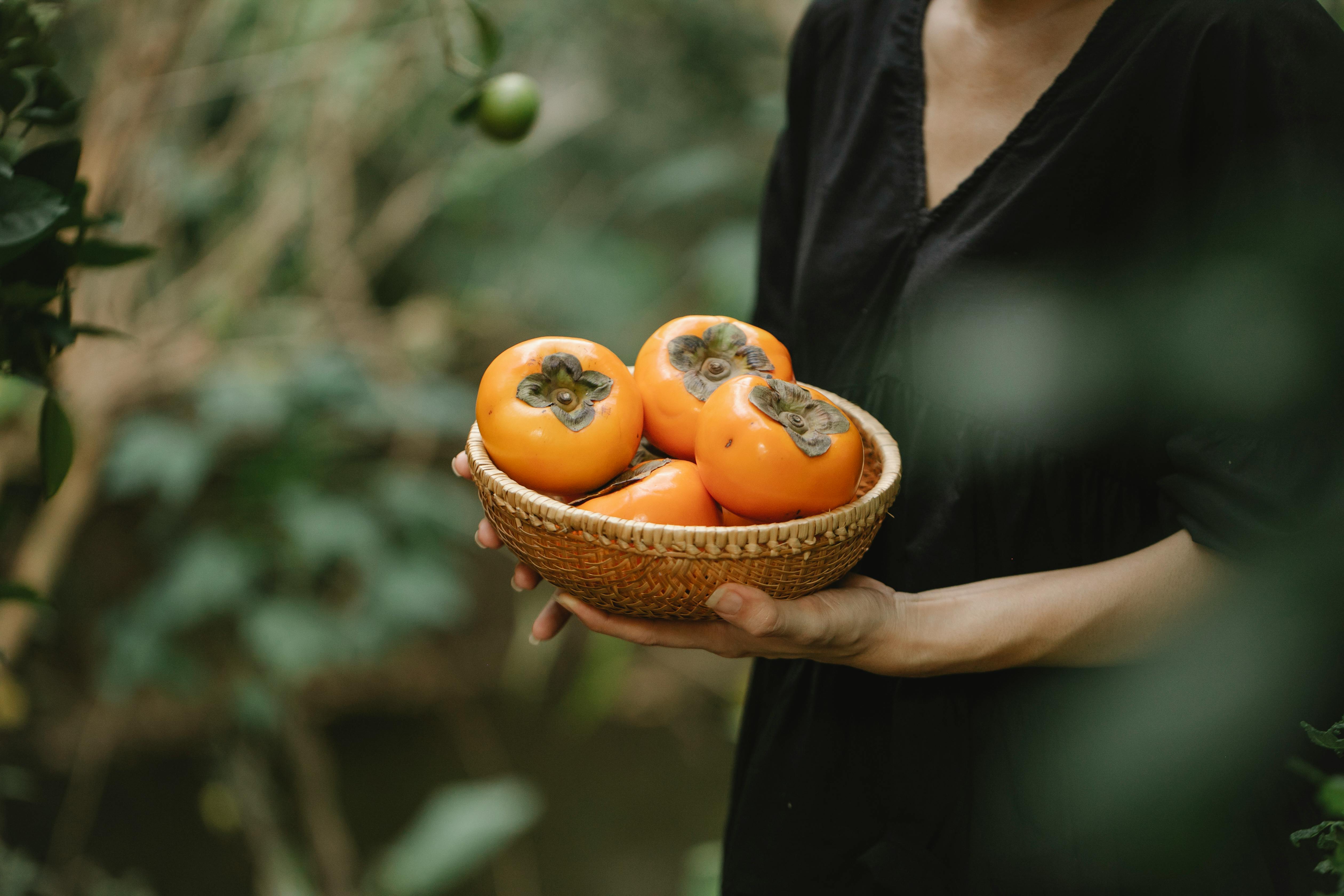 Image of of a person in black dress around plants holding a bowl of persimmons.